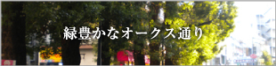 �ΖL���ȃI�[�N�X�ʂ�